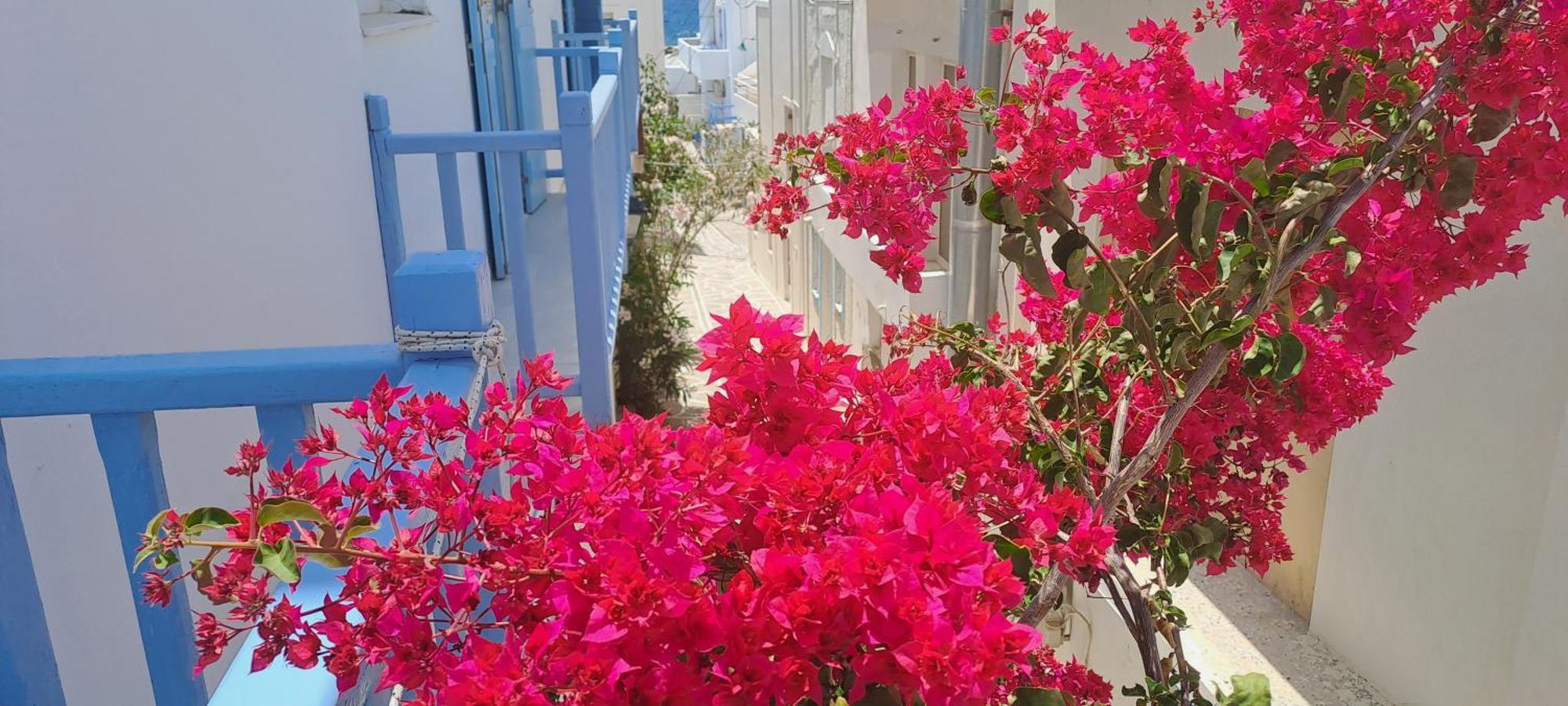 Dinas Inn Piso Livadi Bagian luar foto